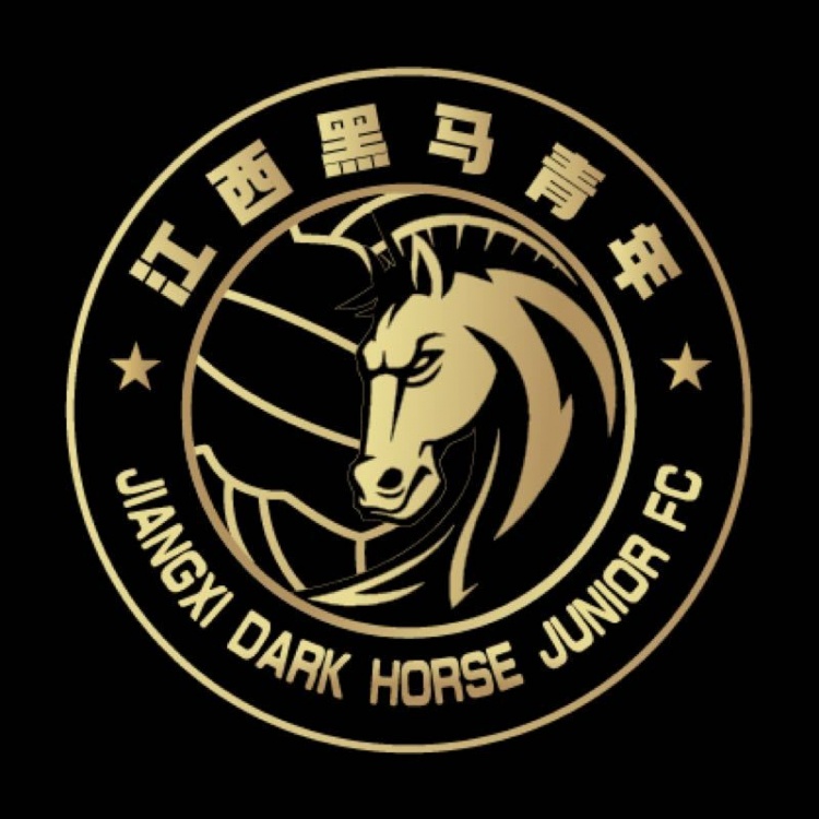 官方：江西黑馬青年完成異地遷移程序，更名為溫州職業(yè)足球俱樂部